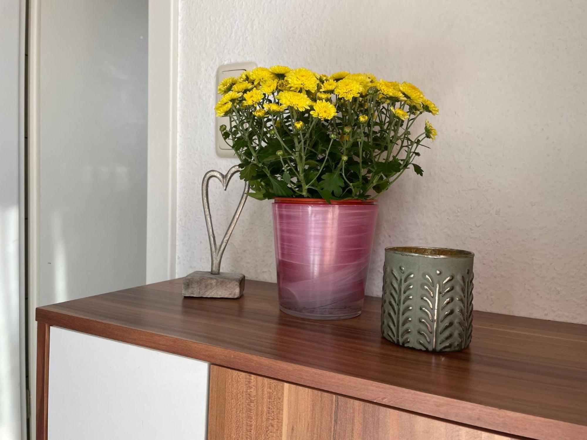 Apartment Old Huesung - Muz328 By Interhome มิโรว์ ภายนอก รูปภาพ